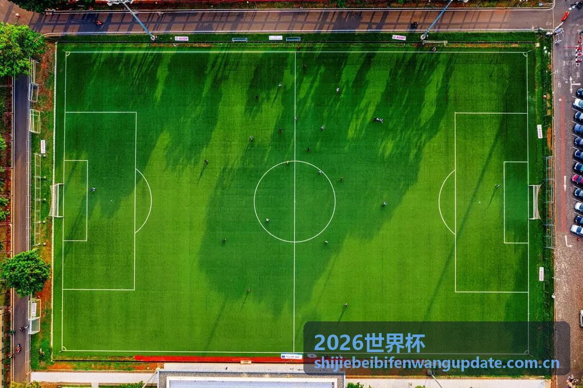 2026世界杯阿根廷卫冕冠军阵容